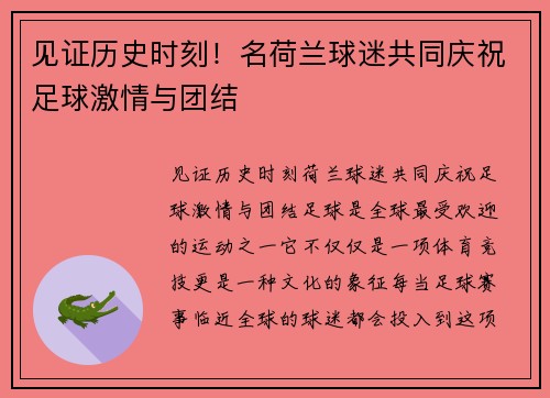 见证历史时刻！名荷兰球迷共同庆祝足球激情与团结