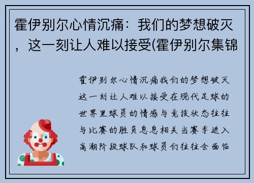 霍伊别尔心情沉痛：我们的梦想破灭，这一刻让人难以接受(霍伊别尔集锦)